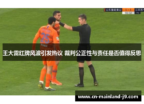 王大雷红牌风波引发热议 裁判公正性与责任是否值得反思 王大雷红牌风波引发热议 裁判公正性与责任是否值得反思