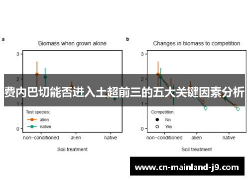 费内巴切能否进入土超前三的五大关键因素分析