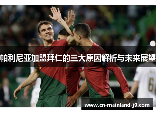 帕利尼亚加盟拜仁的三大原因解析与未来展望