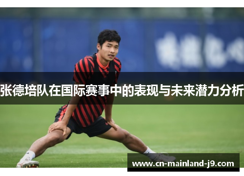 张德培队在国际赛事中的表现与未来潜力分析