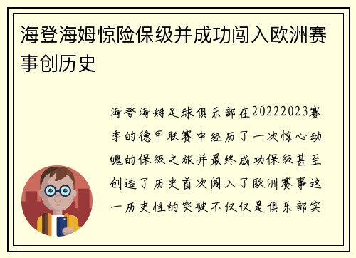 海登海姆惊险保级并成功闯入欧洲赛事创历史 海登海姆惊险保级并成功闯入欧洲赛事创历史